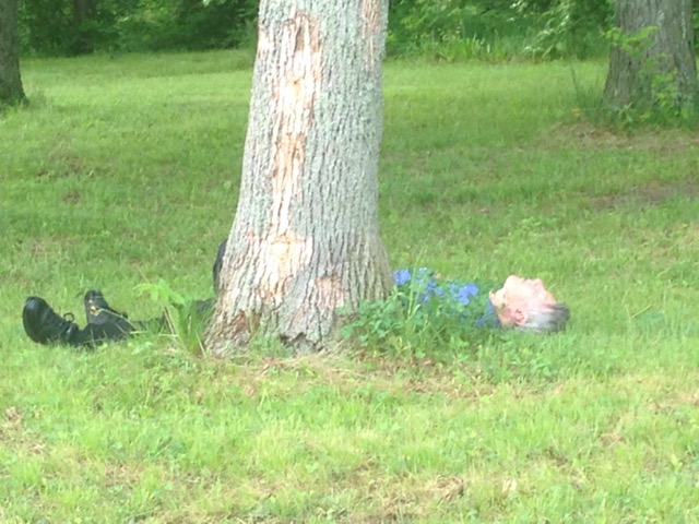 Hamvention 2015 man down.JPG